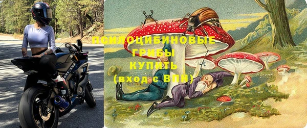 дживик Нефтекумск